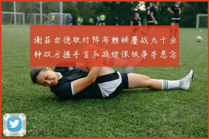 谢菲尔德联对阵布赖顿鏖战九十分钟双方握手言和延续保级争夺悬念