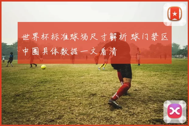 世界杯标准球场尺寸解析 球门禁区中圈具体数据一文看清