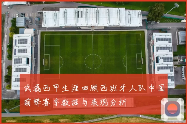 武磊西甲生涯回顾西班牙人队中国前锋赛季数据与表现分析
