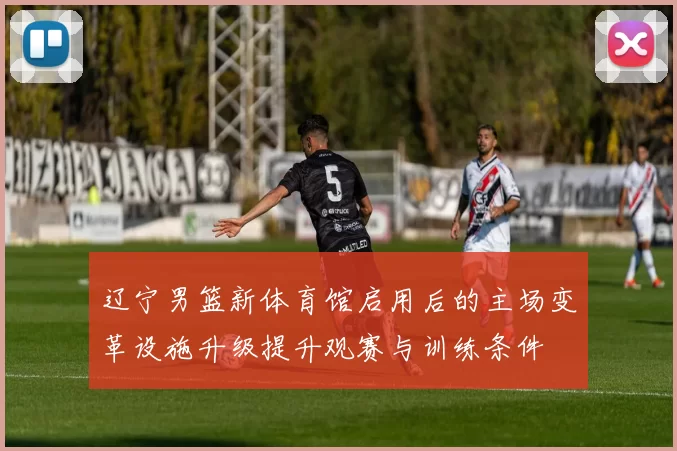 辽宁男篮新体育馆启用后的主场变革设施升级提升观赛与训练条件