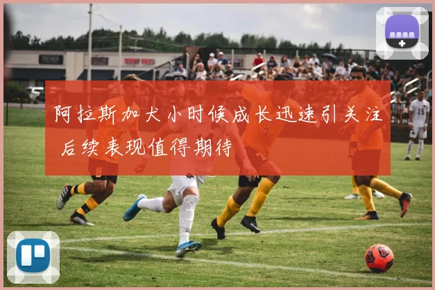 阿拉斯加犬小时候成长迅速引关注 后续表现值得期待