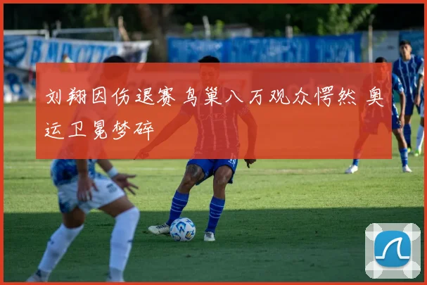 刘翔因伤退赛鸟巢八万观众愕然 奥运卫冕梦碎