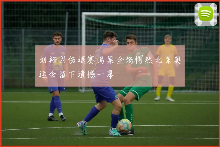 刘翔因伤退赛鸟巢全场愕然北京奥运会留下遗憾一幕