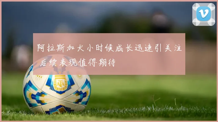 阿拉斯加犬小时候成长迅速引关注 后续表现值得期待